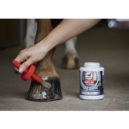 leovet HUFLAB Hoof Oil - 450 ml