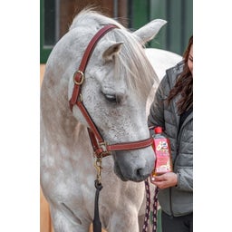 Care & Color Powder Shampoo - For Light Coloured Horses - 500 ml