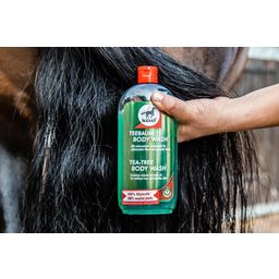 leovet Tea Tree Shampoo - 500 ml