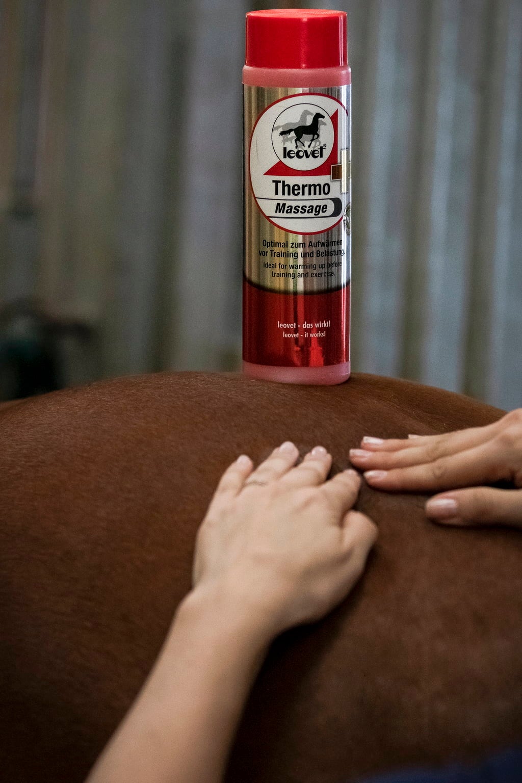 leovet Thermo-Massage - 500 ml