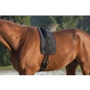 Kerbl Nylon Longeerband - Warmbloed