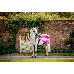 Horseware Newmarket Exercise Sheet Witney Pink - L