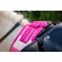 Horseware Newmarket Exercise Sheet Witney Pink - L