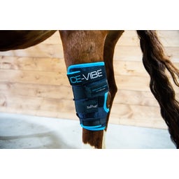 Horseware Ireland Ice-Vibe Hock Wrap Black/Auqa - 1 Paar