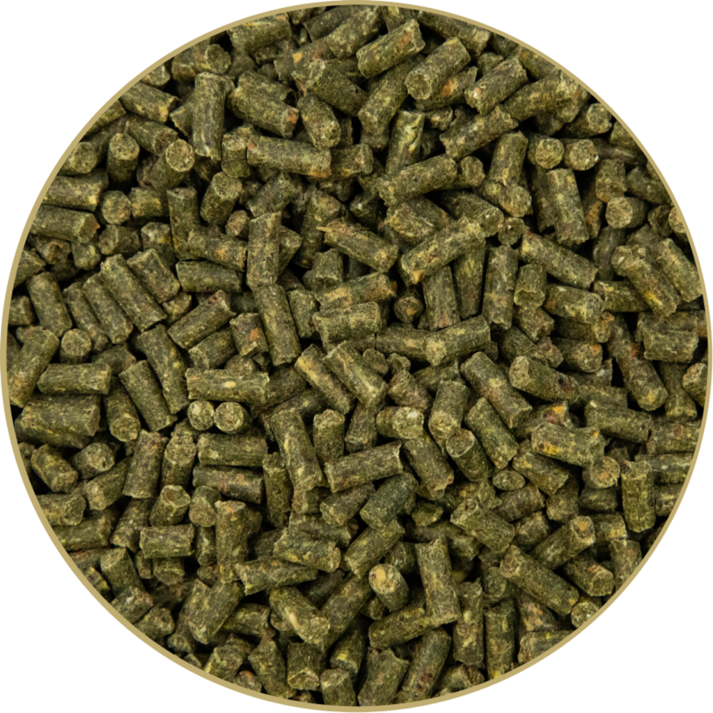 St.Hippolyt Kernkraft Muskel Plus - 5 kg