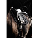 ESKADRON Schabracke SOFTSHELL CRYSTAL, navy - DL