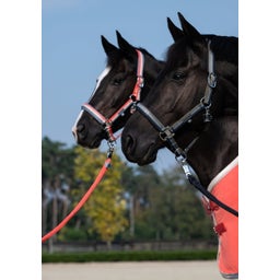 Halter DOUBLE PIN, Navy-Steel Blue-Dusty Olive - X-Full