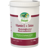 Galopp Vitamine E + Sélénium