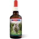 GladiatorPLUS Katten - 100 ml