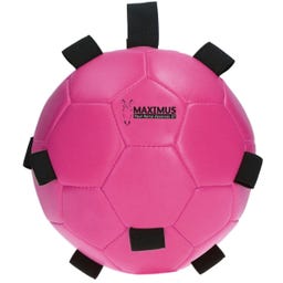 Excellent Horse Play Ball - Pink