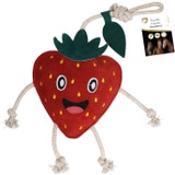 Igrača za konje 'Excellent Horse Foodie Friends'