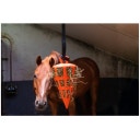 Portaheno con Forma de Zanahoria 'Hay Slow Feeder Fun & Flex Carrot' - Naranja