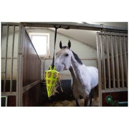 Heukarotte 'Hay Slow Feeder Fun & Flex Carrot' - Grün