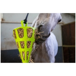 Heukarotte 'Hay Slow Feeder Fun & Flex Carrot' - Grün