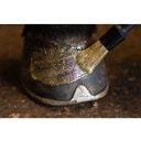 Esmalte Glitter de Cascos 'Excellent Horse Hi Gloss Glitter' - Oro