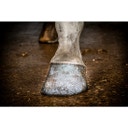 Glitzer-Huflack 'Excellent Horse Hi Gloss Glitter' - Silber