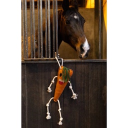 Paardenspeelgoed 'Excellent Horse Foodie Friends' - Wortel