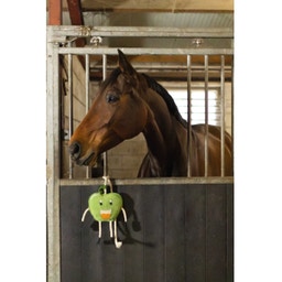 Juguete para Caballos 'Excellent Horse Foodie Friends' - 