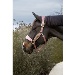 Kentucky Horsewear Oglavka Velevet Unicorn, Glitter Pink - Cob