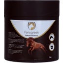 Excellent Horse Fenugreek - 1 kg