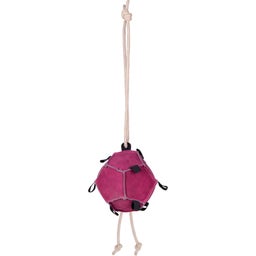 Brands of Q Pelota para Caballos - Rosa
