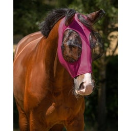 Brands of Q Flugmask Super Bug, Rosa - 