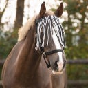 Brands of Q Fly Fringe, Zebra