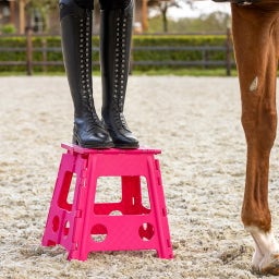 Brands of Q Step-up Stool - Fuchsia
