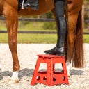 Brands of Q Step-up Stool - Red