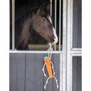 QHP Gioco per Cavalli - Carota
