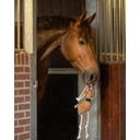 QHP Jouet pour Chevaux - Rudolph
