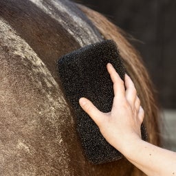 Brands of Q Equi Super Shiner - 1 st.