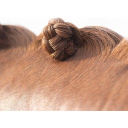 Brands of Q Braided Wax Stick - 1 Pc