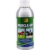 TRM Muscle Up