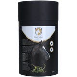 Excellent Horse Turbo