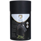 Excellent Horse Turbo