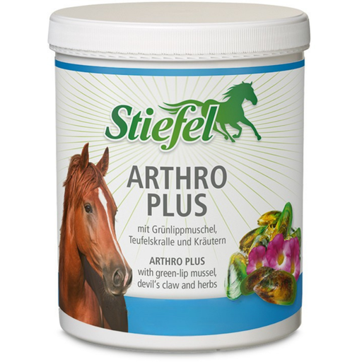 Stiefel Arthro Plus