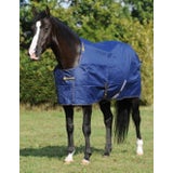 Irish Turnout Light/50 Classic "Navy/Gold"