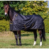 Irish Turnout Light/50 Classic "Black/Gold"