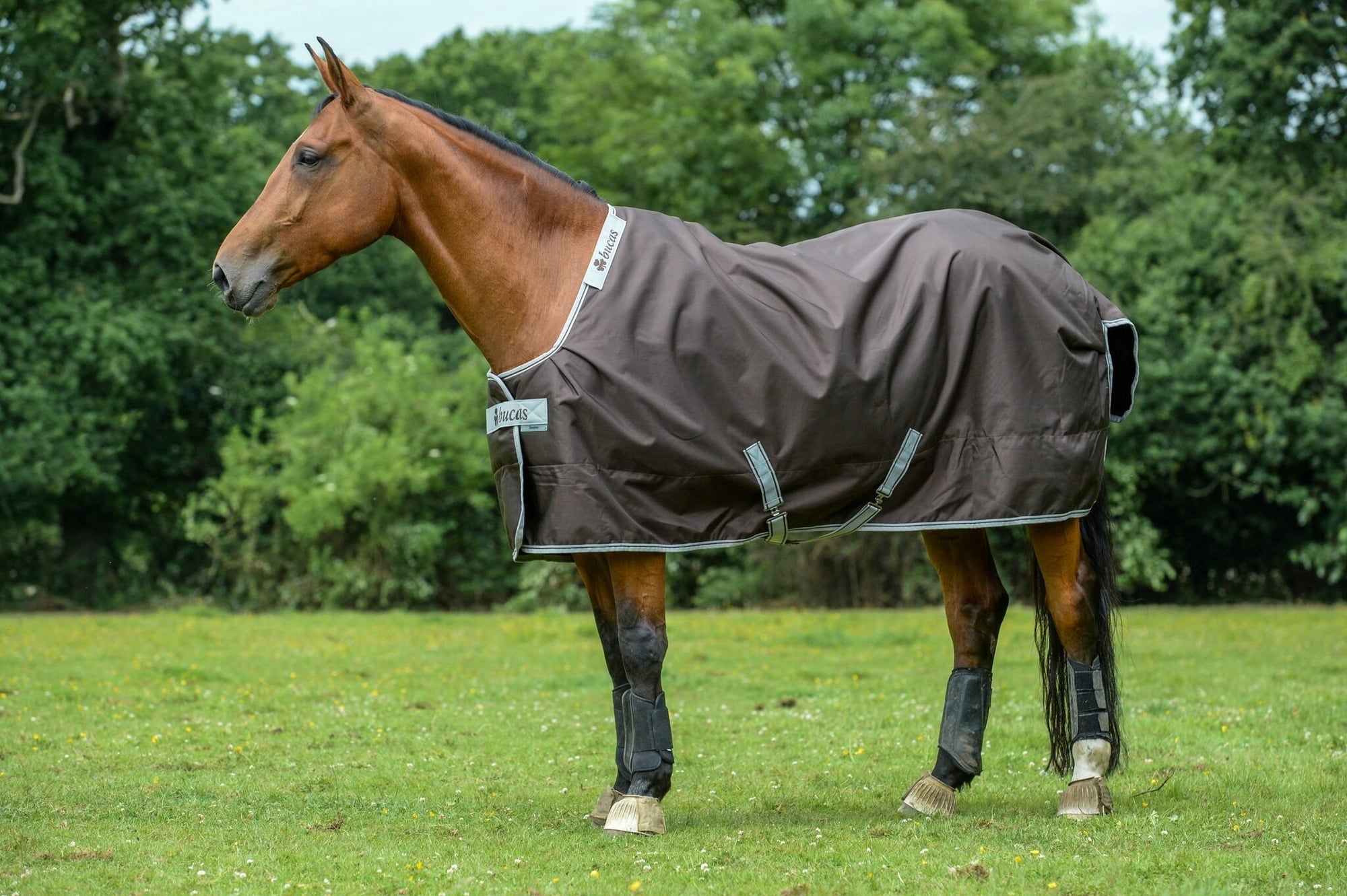 Bucas Smartex Extra 