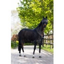 ESKADRON Fliegendecke Pro Cover Dura schwarz - M