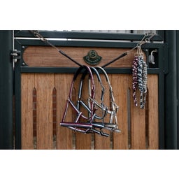 ESKADRON Halfter Pin Buckle WB - anthra-creme-rustic red