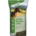 SPEED Alpenwiesen Cobs - 20 kg