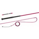 FLECK Longeerzweep ERGO-Grip Deelbaar, 200 cm - Roze