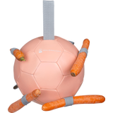 Waldhausen Karottenball 18 cm