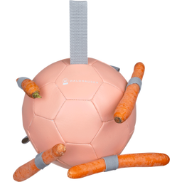 Waldhausen Karottenball 18 cm - linnea rosa