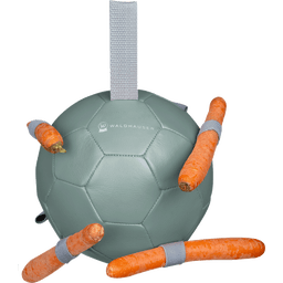 Waldhausen Karottenball 18 cm - mistel