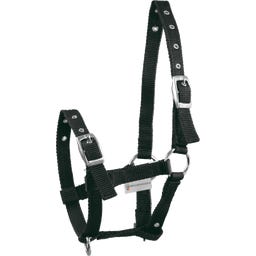 Waldhausen Fohlenhalfter Triple - schwarz