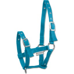 Waldhausen Triple Foal Halter - Azure Blue