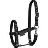 Waldhausen Veulenhalster, Comfort